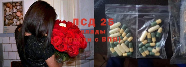 PSILOCYBIN Бронницы