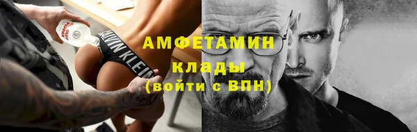 МДПВ Бородино