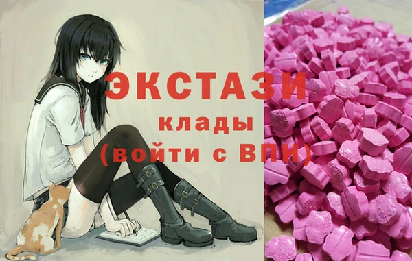 МДПВ Бородино