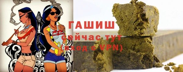 МДПВ Бородино
