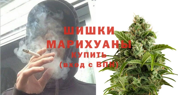 МДПВ Бородино
