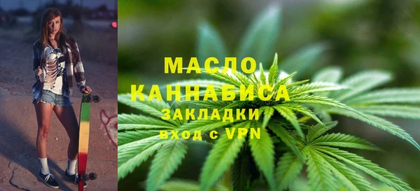 МДПВ Бородино