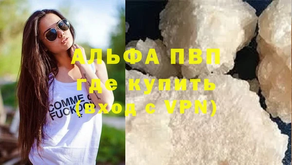 PSILOCYBIN Бронницы