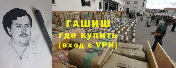 МДПВ Бородино